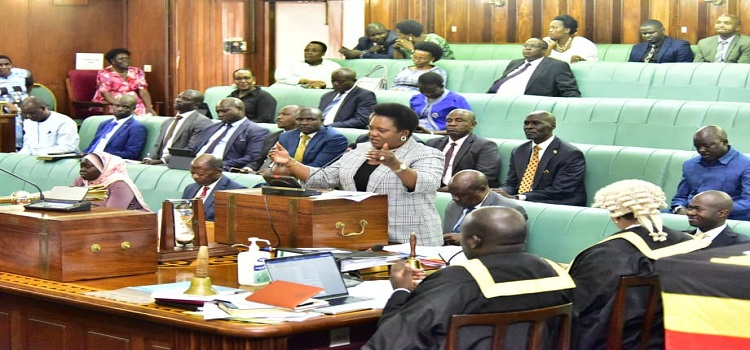 The ministry of Gender, labour and social development has started lobbying Mps to support the National kiswahili council bill that was tabled before Parliament for the first reading. The chairperson parliamentary forum on gender and culture Richard Wanda says the council will be…