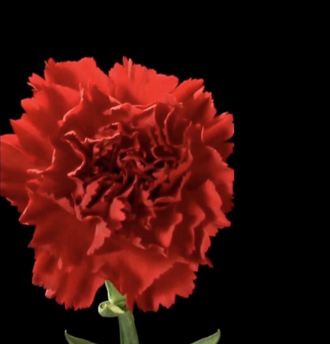 It was fifty years ago today.