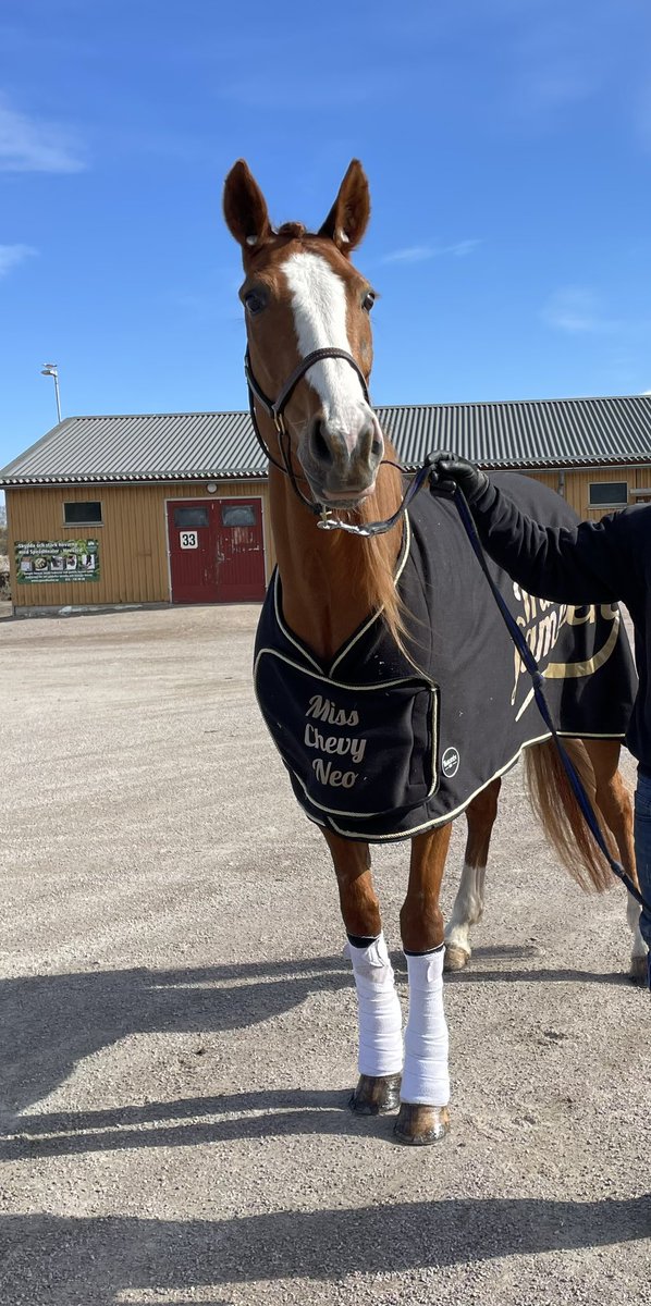StallPalmqvist's tweet photo. Miss Chevy Neo har inlett säsongen på bästa vis med två segrar på fem dagar 🥇🥇 https://t.co/9o1FgWTYnh