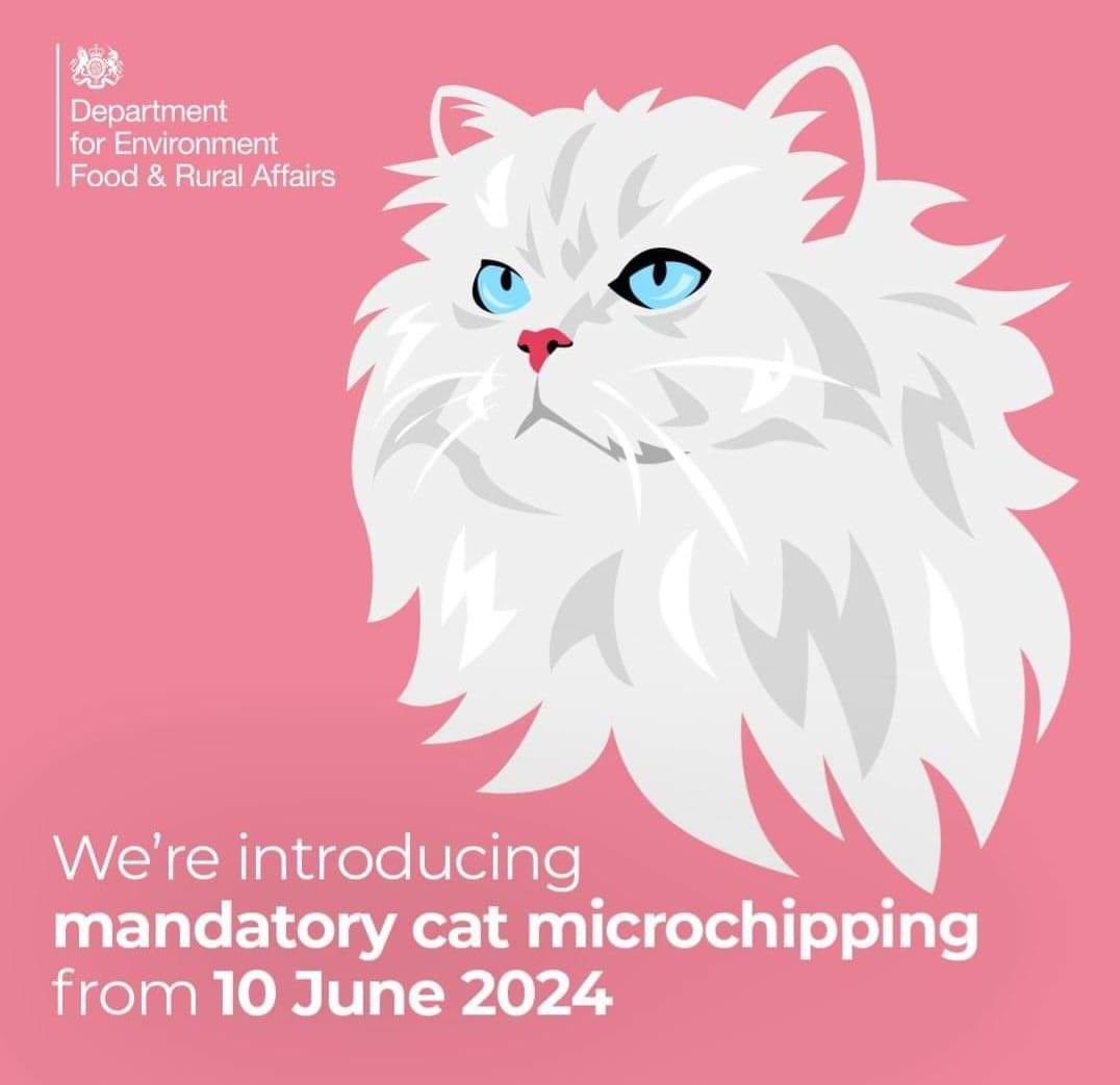 From 10th June 2024, it is a legal requirement to have your cat microchipped. If you need your cat to be microchipped, we are offering ‘chipping for a tenner’ DM to arrange a mutually convenient time and date pdsa.org.uk/what-we-do/blo…