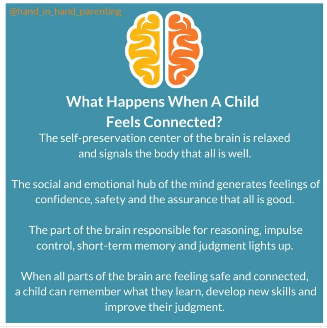 In order to get to the cortex, our young people need to feel safe and connected. 'If they don’t feel safe and connected, they can't think.'🧠🌱