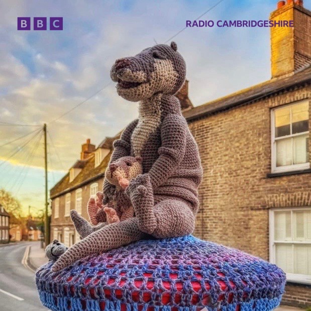 The Secret Yarn Bomber in Ely strikes again! This time with an Otter and Otter kit. You can listen to BBC Radio Cambridgeshire here: bbc.in/44dAAVq Photo credit: @VeronicaJoPo