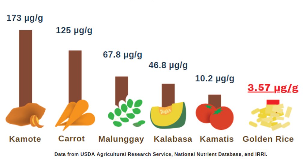 ARCHIVES | In the Philippines, roughly one hundred thousand tons of unsold farmer-produced squash that are naturally rich in vitamin A will likely go to waste while the government pushes for GM Golden Rice to solve Vitamin A deficiency in the country. masipag.org/2023/06/creati…