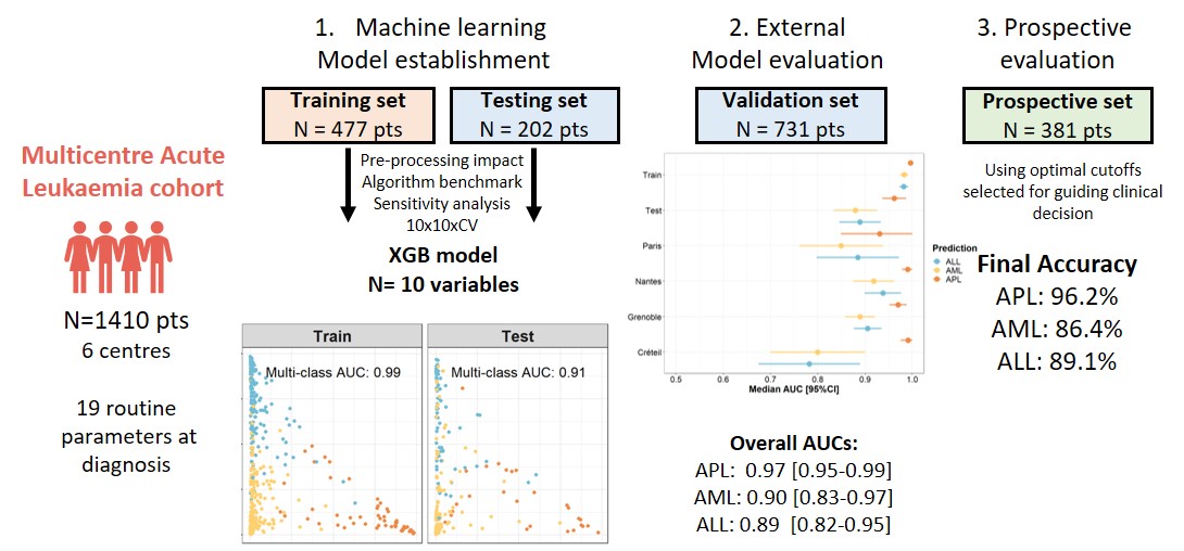 Vincent Alcazer tweet media