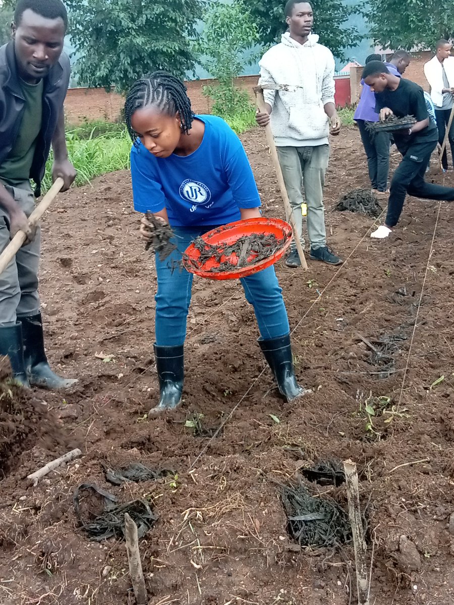 Did you know that sustainable agriculture is not just about feeding the world today, but ensuring food security for future generations? Let's invest in research and innovation to make agriculture more sustainable! #SustainableAg #YouthInAg #Innovations