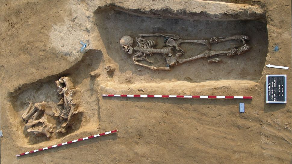 Researchers reconstructed the relationships among nearly 300 Avars, people from a 1500 year-old mysterious warrior culture in the Carpathian Basin :

Hundreds of skeletons found in cemeteries on the Great Hungarian Plain reveal clues about nine generations of Avars, a mysterious…
