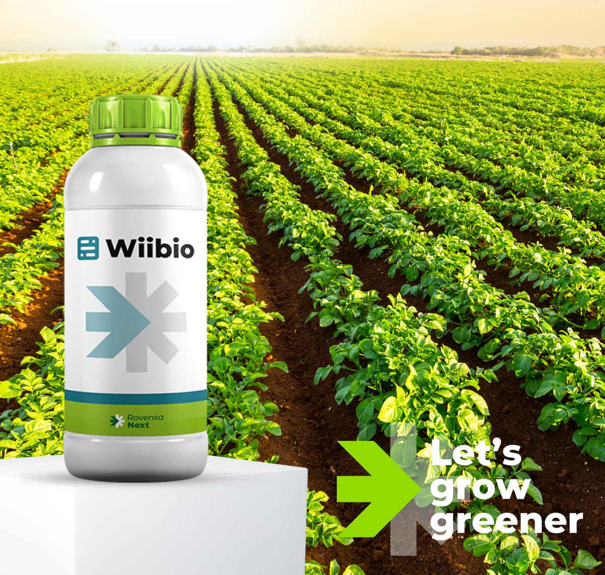 FHALMERIA's tweet photo. #Wiibio, el bioestimulante regenerador del suelo que revoluciona el desarrollo natural del #cultivo
ΒΏConoces este producto de @RovensaNext?
π https://t.co/42E5WszR49 https://t.co/9bTvxJh74p
