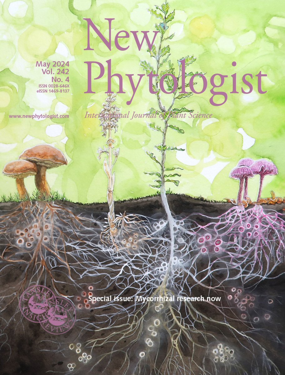 New Phytologist has just published a special issue: 'Mycorrhizal research now'
nph.onlinelibrary.wiley.com/toc/14698137/2…