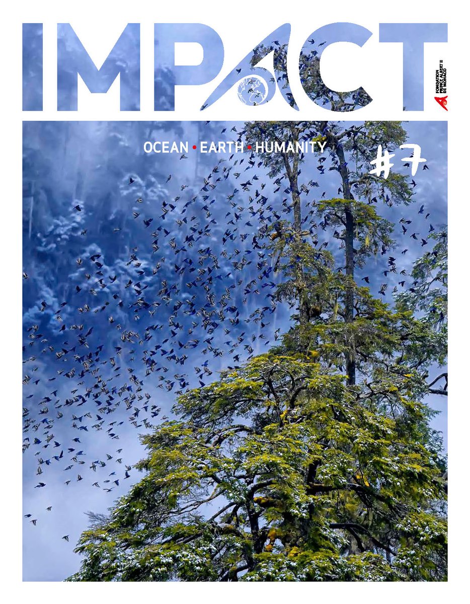 #IMPACTMagazine The new issue of IMPACT, our magazine is here! 🌍 Dive in and enjoy the read! bit.ly/3Uvib35 Cover: ©Kallol Mukherjee