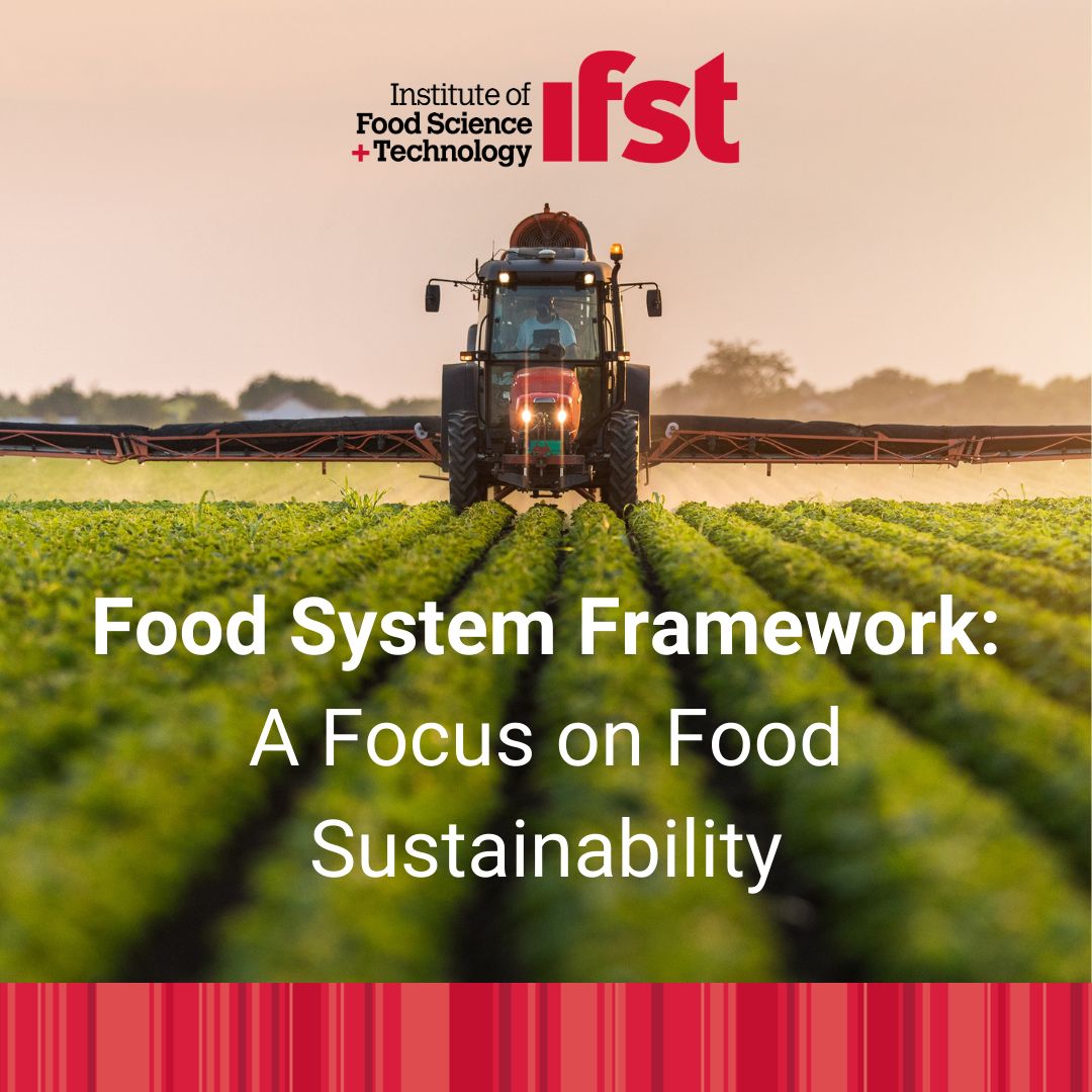 IFST has published the 2024 update to our report 'Food System Framework: A Focus on Food Sustainability.' Offering a roadmap towards a more sustainable and resilient future, click here to read the full report: bit.ly/3w3wumb