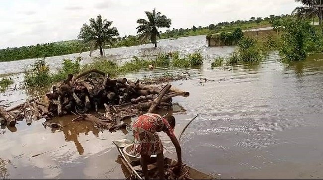 Climate disasters: UN to prioritise early warning systems by 2027.... @WMO says the @UN will prioritise early warning systems against climate disasters globally by 2027. environewsnigeria.com/climate-disast… via @environewsng