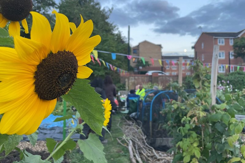 Good to Grow Week 22-29 April for edible gardens to celebrate the new growing season, open to the local community, & encourage people to volunteer. @UKGoodtoGrow have growing activities & map: goodtogrowuk.org #GoodtoGrow2024 & good for our #wellbeing shared by #EDDChealth