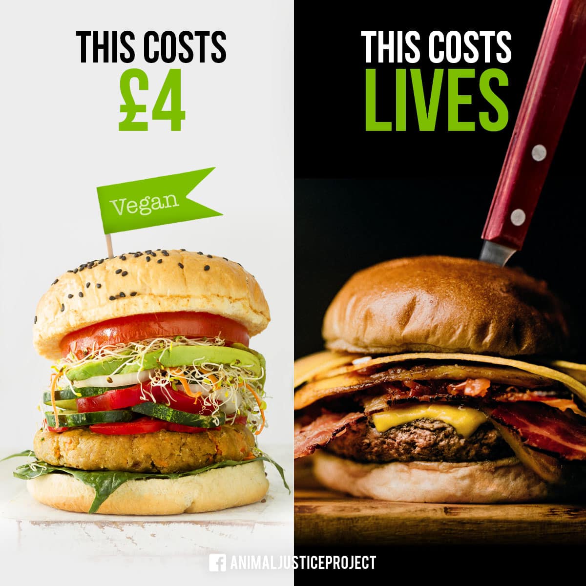 Why pay for suffering when you can choose a vegan burger? What do you believe in? Do you believe in supporting the animal agriculture industry, or do you believe in ethical food choices that don’t involve animal suffering and death? END ALL ANIMAL USE! #Vegan #VeganDiet