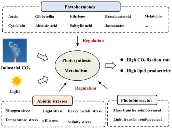 #mdpienergies #highlycitedpaper
 
A Review on Industrial CO2 Capture through Microalgae Regulated by Phytohormones and Cultivation Processes
👉 ow.ly/uGca50RnGK3
 
#microalgae #CO2fixation #phytohormones #abioticstress #multistageregulation #photobioreactor