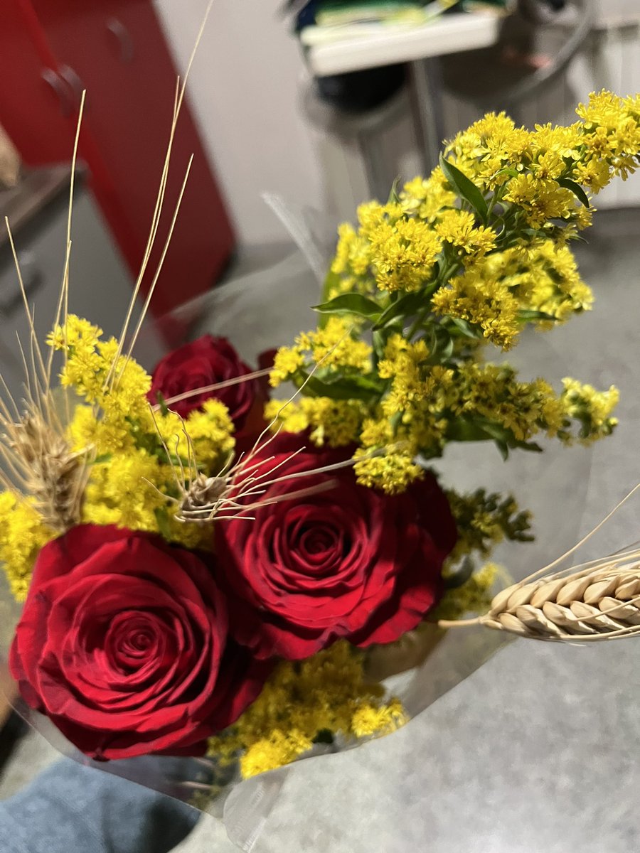 nnoemiPS's tweet photo. El martes 23 de abril fue Sant Jordi🌹 🐉, uno de los días más bonitos en Cataluña. Hoy estaba cambiado el agua de las rosas y he pensado que soy muy afortunada de ser catalana, y de la pareja que tengo ❤️ https://t.co/xZByfcbkP3