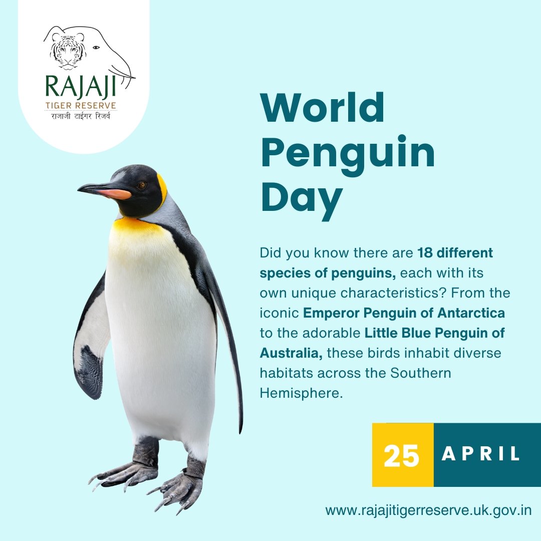 #WorldPenguinDay #rajajitigerreserve