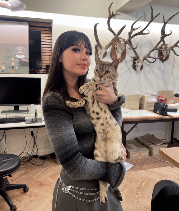 meet Haru 🐱 https://t.co/45d4U9Fdea