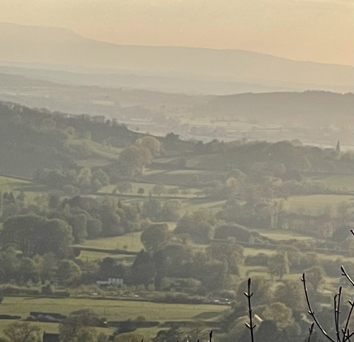 Apple blossom, bluebells and distant views … stunning evening.