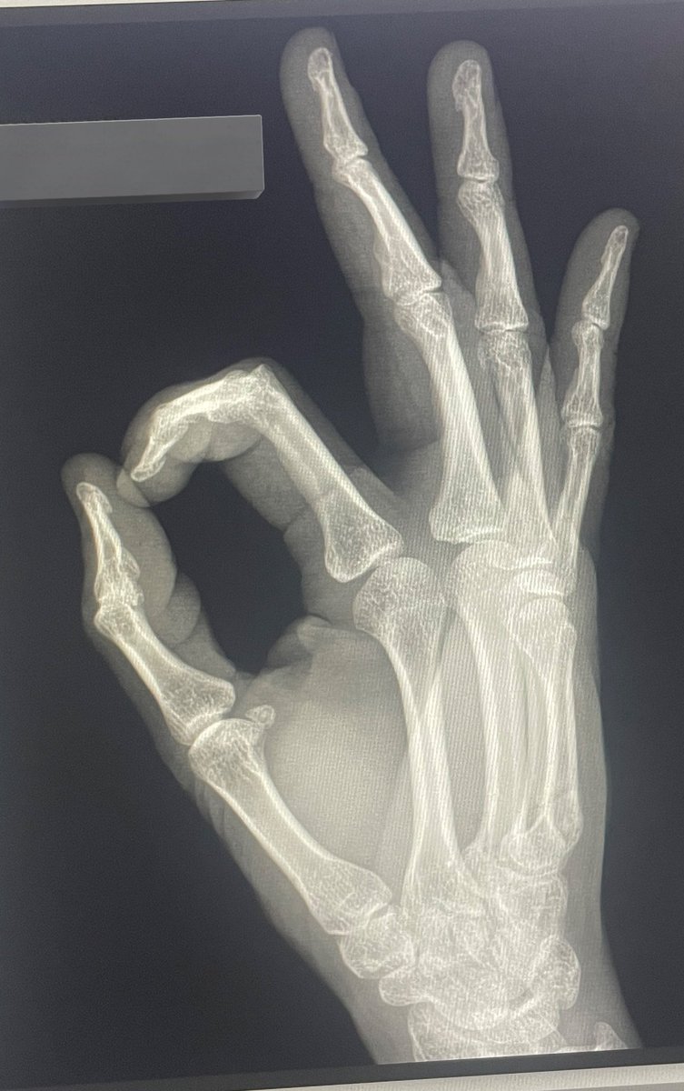 𝗙𝗮𝗶𝘀𝗮𝗹 🦇 tweet media