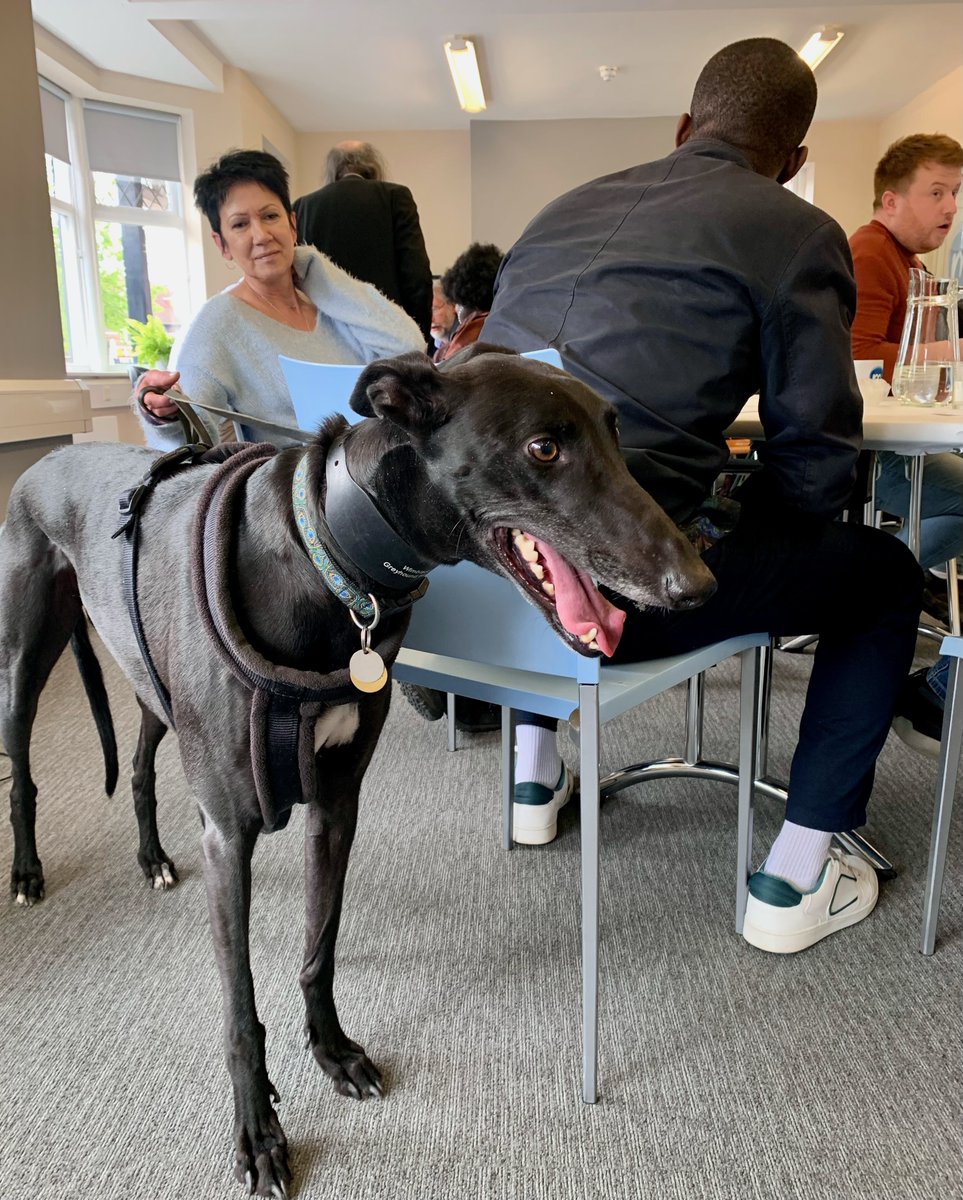 Lots of updates at this month's M3 staff meeting - super busy events calendar, new product implementations &amp;  team members to welcome - Hello to Nathalie our new Scrum Master 👋

PLUS Charles' fiendishly difficult quiz! Even the Kobi the new office dog was stumped...🐕
#officedog