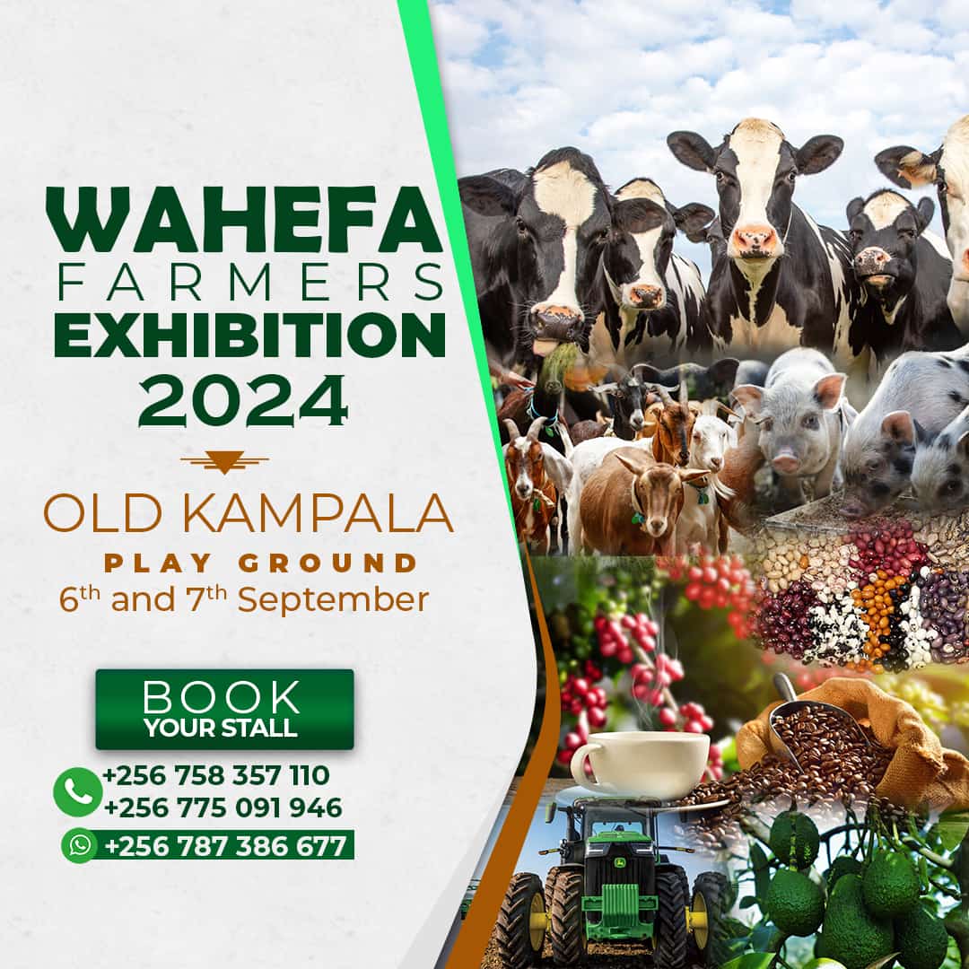 headstartinst's tweet image. 