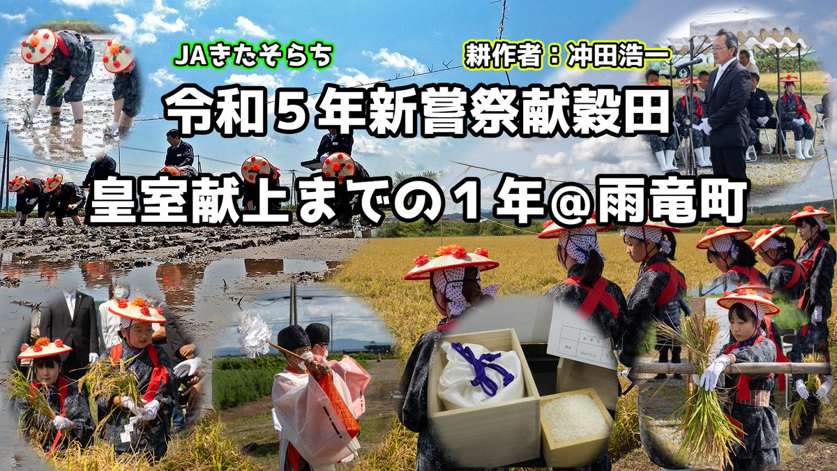【令和５年度新嘗祭献穀田（北海道雨竜町）】🎥
昨年、雨竜町が新嘗祭の献穀田として選ばれました。
youtu.be/923GoCndGvA

１年間の圃場管理や神事を追った動画を作成しました！
雨竜町に残る歴史動画を作ることができました。
#北海道雨竜町 #令和５年度新嘗祭献穀田 #皇室献上米 #うりゅう米