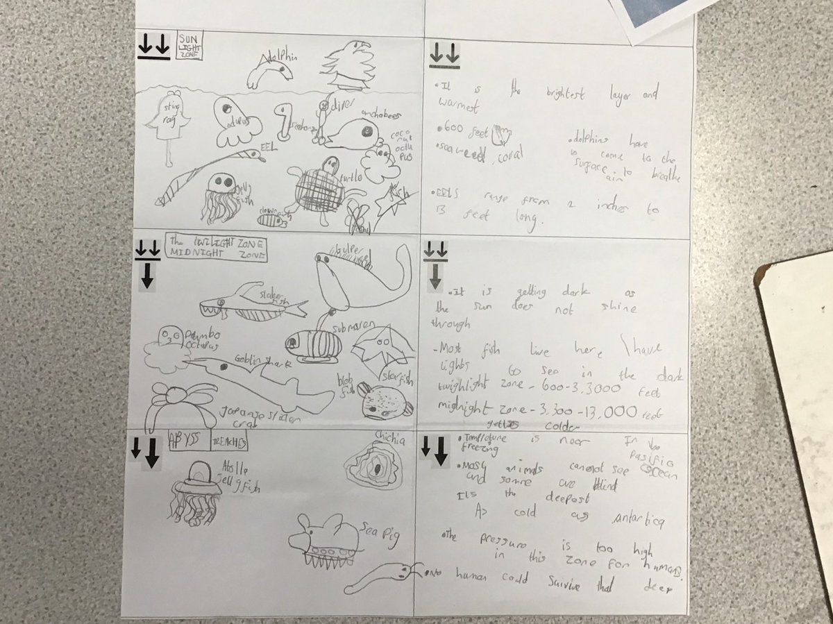 For our experience day in English yesterday, we were researching the five layers of the ocean and the animals that live there 🌊🐠🐙🦀
<a href="/OrchardPrimaryA/">Orchard Primary</a>