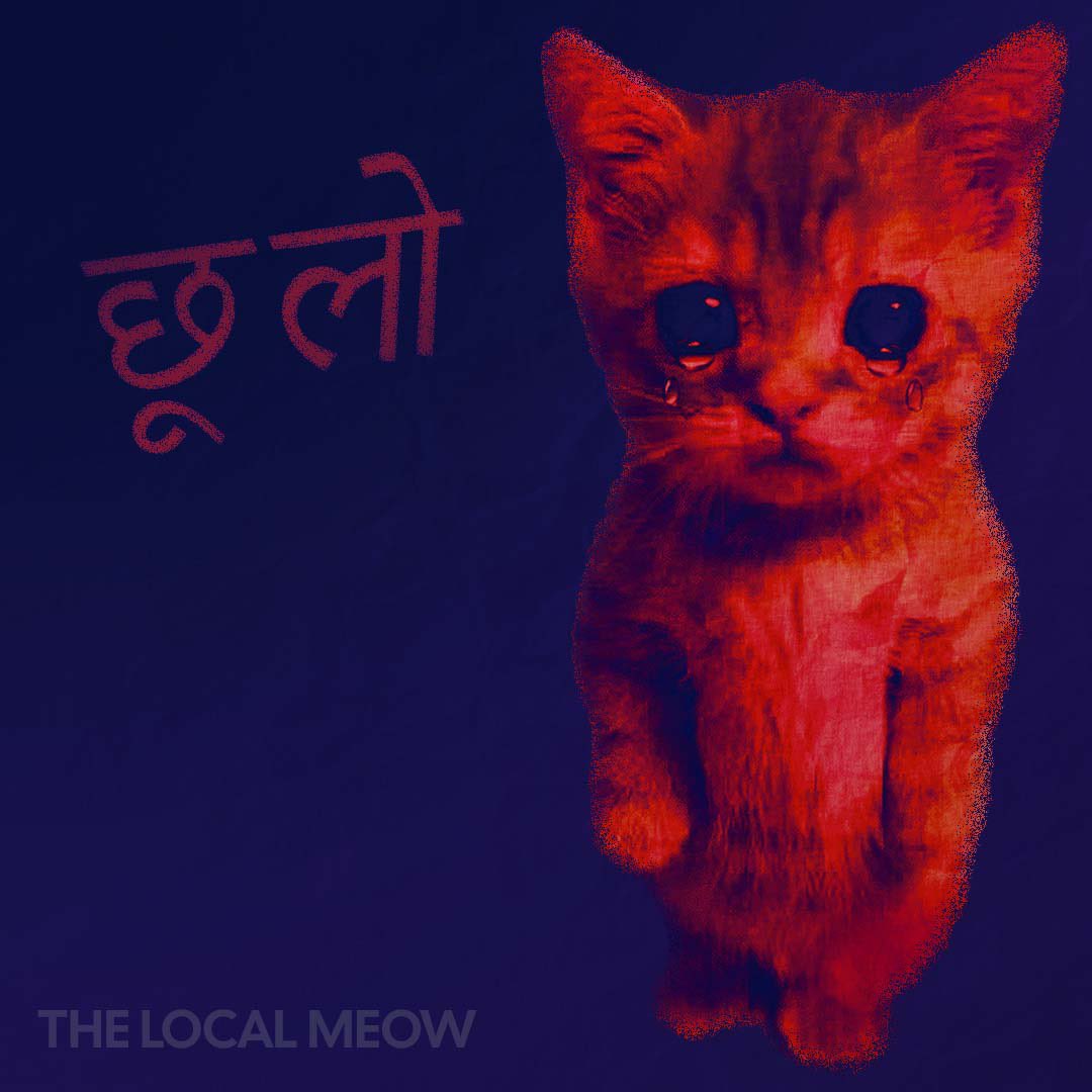 RCB national anthem out on spotify, image size:1080x1080