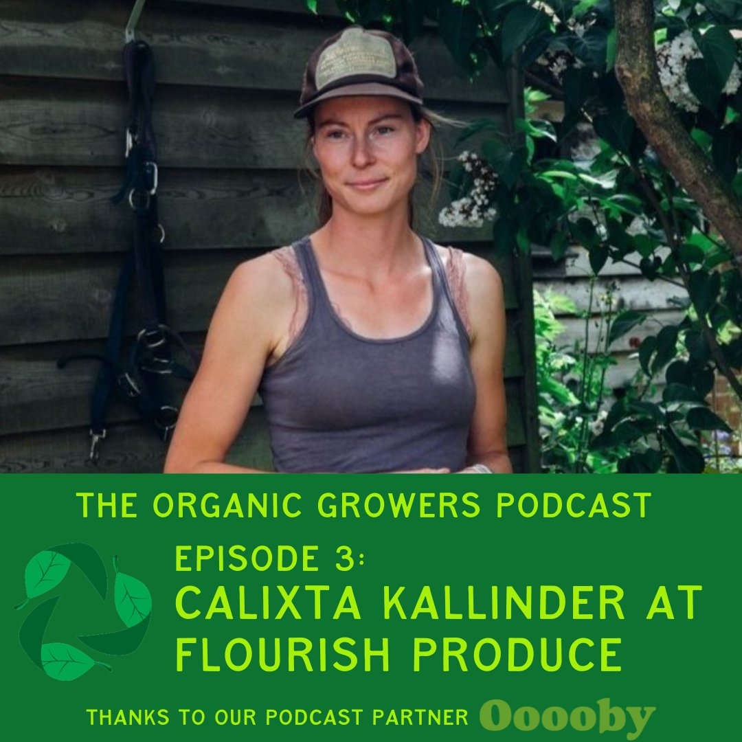 Ep.3 of the #OGPod has just dropped! Go listen to James talk to Calixta from @Flourishproduce about growing veg on 35 acres of land & much more. Thanks to our podcast partner @Ooooby and show sponsors Re Ag Tools, Vital Seeds, and @BDACollege. Listen here: organicgrowersalliance.co.uk/ogpod-ep-3-cal…