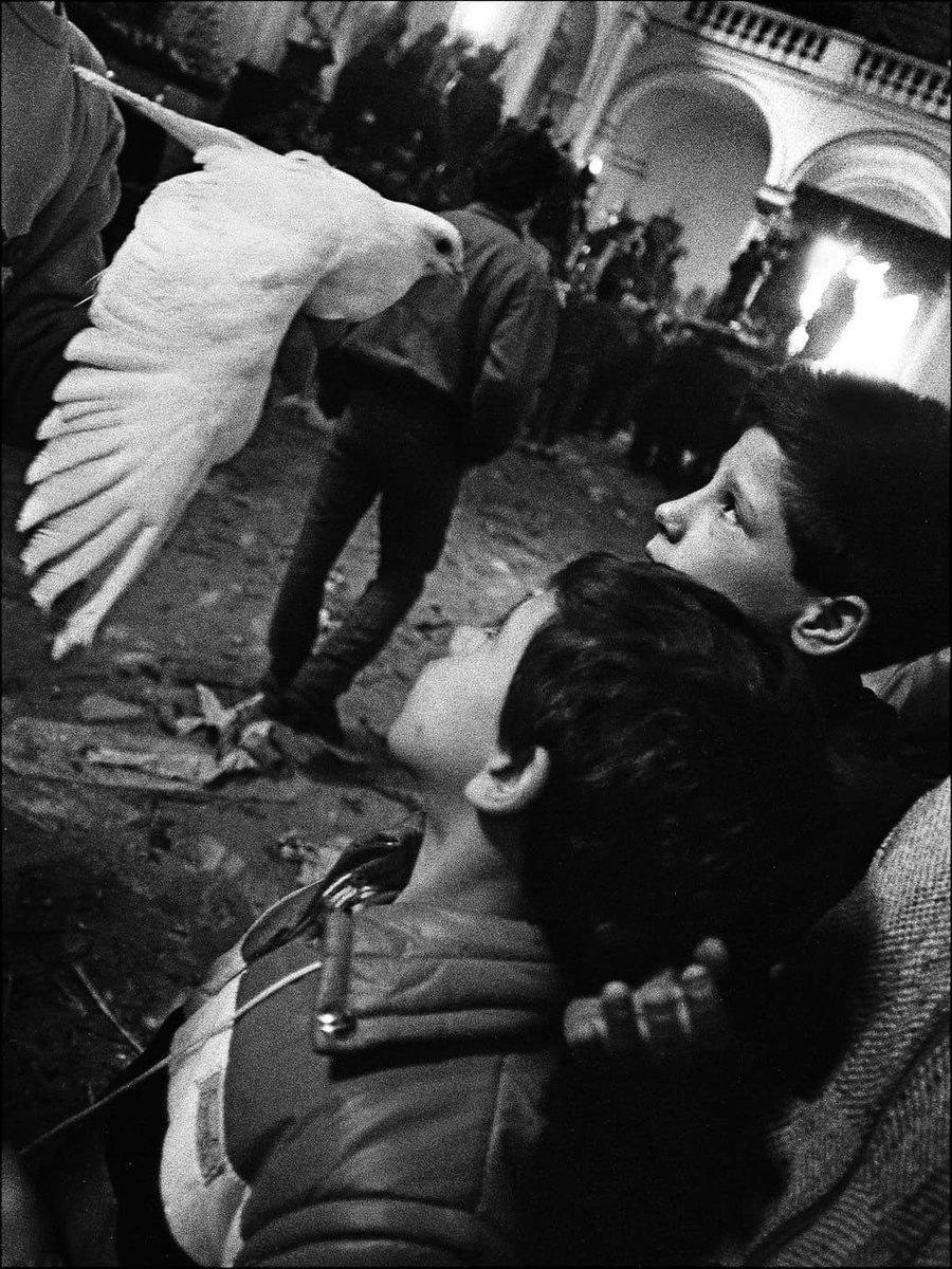 “Coltivate la memoria e proteggete la libertà. Sempre.” ©️ Letizia Battaglia, La colombina, Trapani, 1989