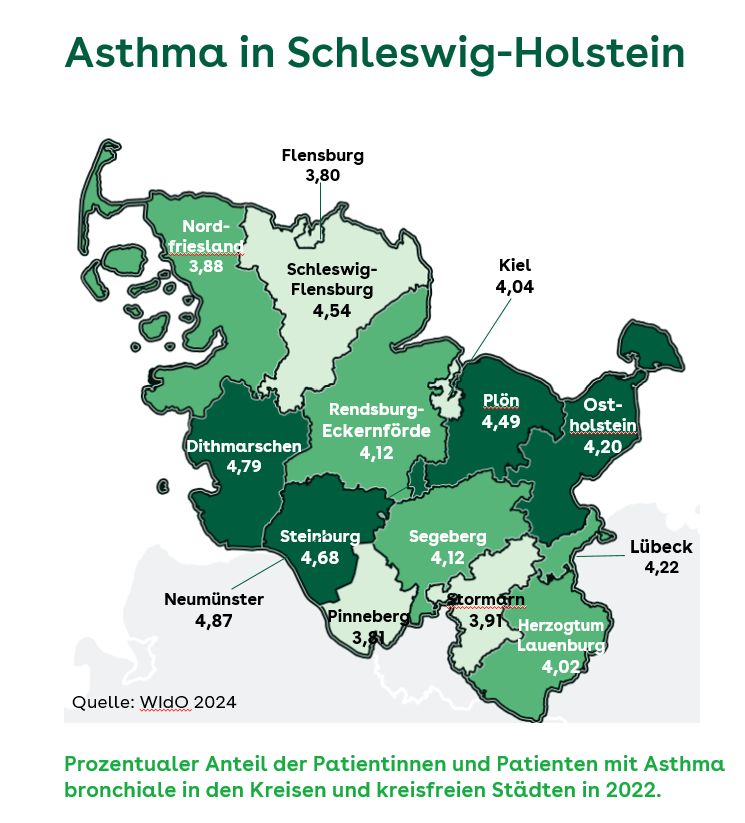 Regionale Unterschiede: Der Anteil der #Asthma-Erkrankten an der Gesamtbevölkerung in #SchleswigHolstein lag 2022 bei 4,17 Prozent. Auffällig sind deutliche Unterschiede zwischen den Regionen. aok.de/pp/nordwest/pm… #WeltAsthmaTag @Atemwegsliga @Lungeninfo