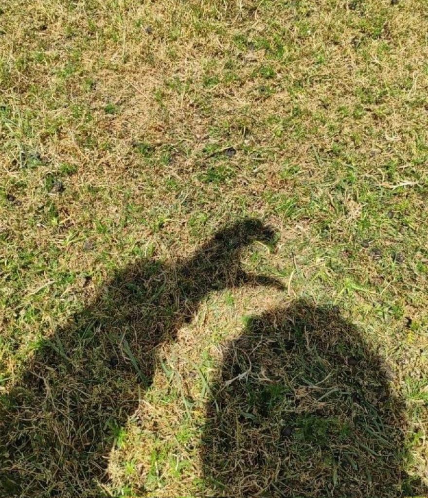 بچھڑتے وقت اُس نے کہا تھا نہ سوال کرنا نہ جواب ملے گا مجھے بھول جانا قرار ملے گا ہم اس مقام پر تھے نہ سوال کیا نہ جواب ملا نہ بھول سکے نہ قرار ملا