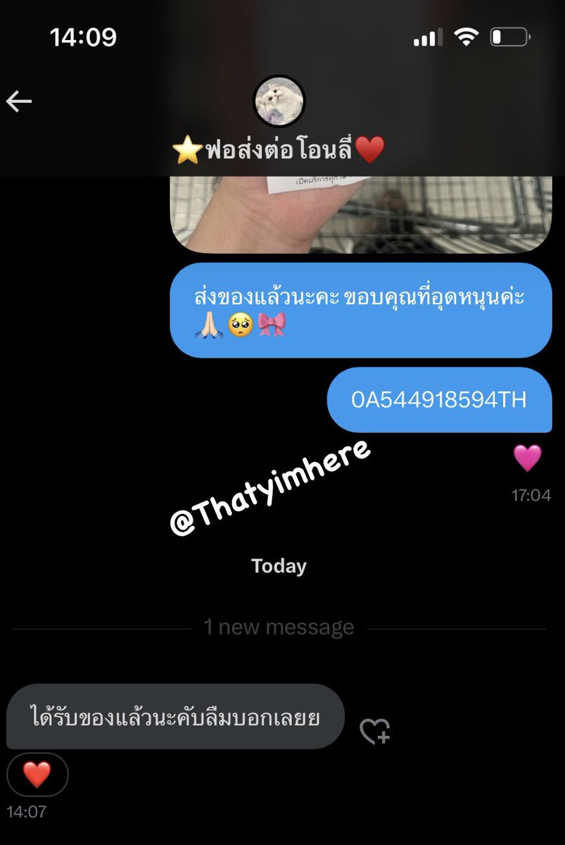 thatyimhere's tweet photo. Thank you naka🤍🙏🏻 https://t.co/eXLQm0yxfj