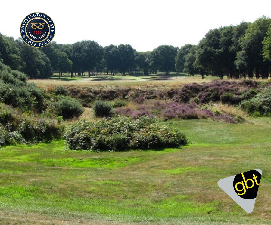 gbtevents's tweet photo. πToday marks an exciting milestone for the GBT2024 Tour as we tee off at Whittington Heath Golf Club in Litchfield! Leaving the rain behind in Manchester, to all our members and guests, here's to a fantastic day of golf and networking. https://t.co/6DUY9lTuOp
#GBT2024 #GBTEvents https://t.co/c9dOYr796a