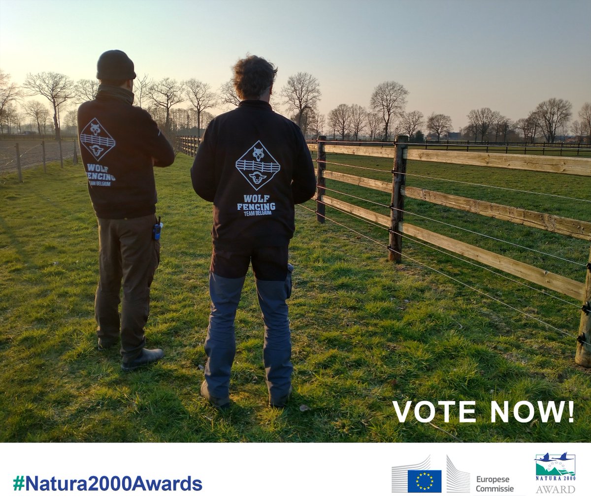 📣Vandaag laatste kans om te stemmen!📣 Samenleven tussen mens en wolf dat moet toch mogelijk zijn?🐺Vind jij dat ook? ✏️Stem dan op het #WolfFencingTeamBelgium voor de Natura 2000 Award!🏆 environment.ec.europa.eu/news/wolf-fenc… 💚Wie helpt retweeten? 💚🙏
