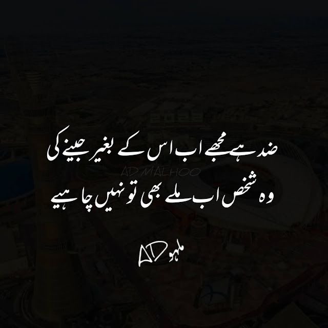 ✨jesy chor deya chor deya asi adat hai humari😊