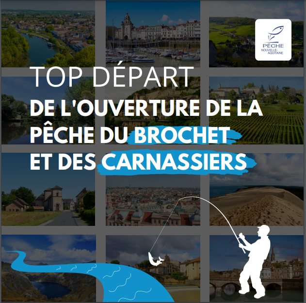 PêcheNvelleAquitaine tweet media