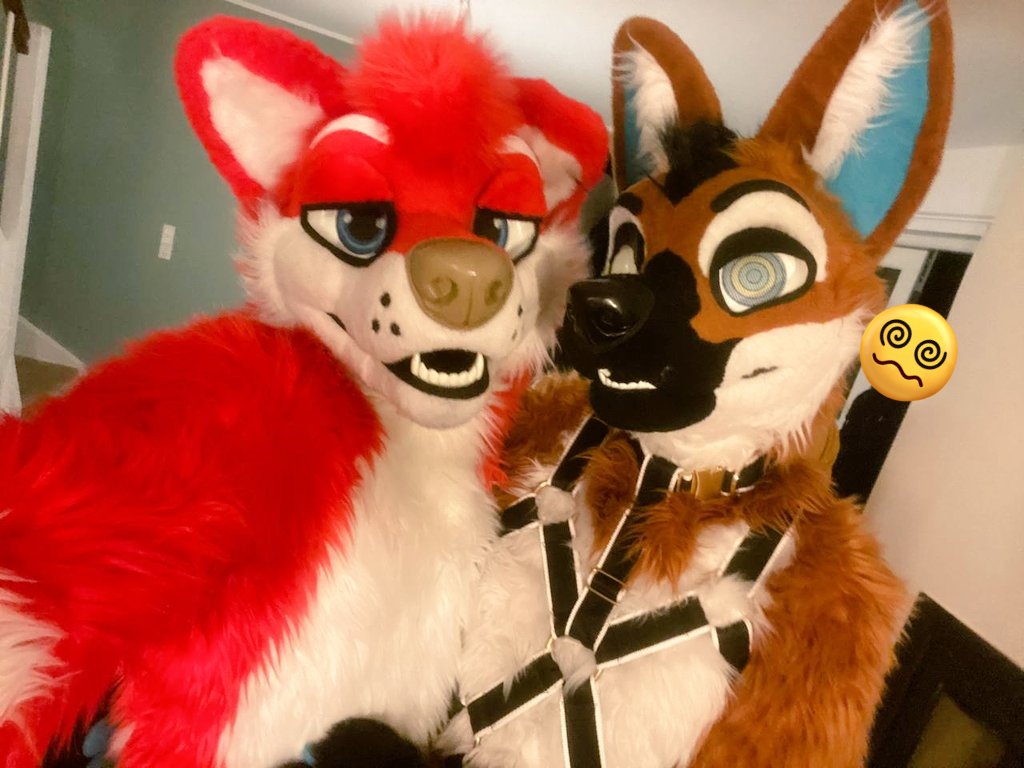 A red dog 🐕 and a hypno dog 😵‍💫 With and 📸 @SiriusBlur