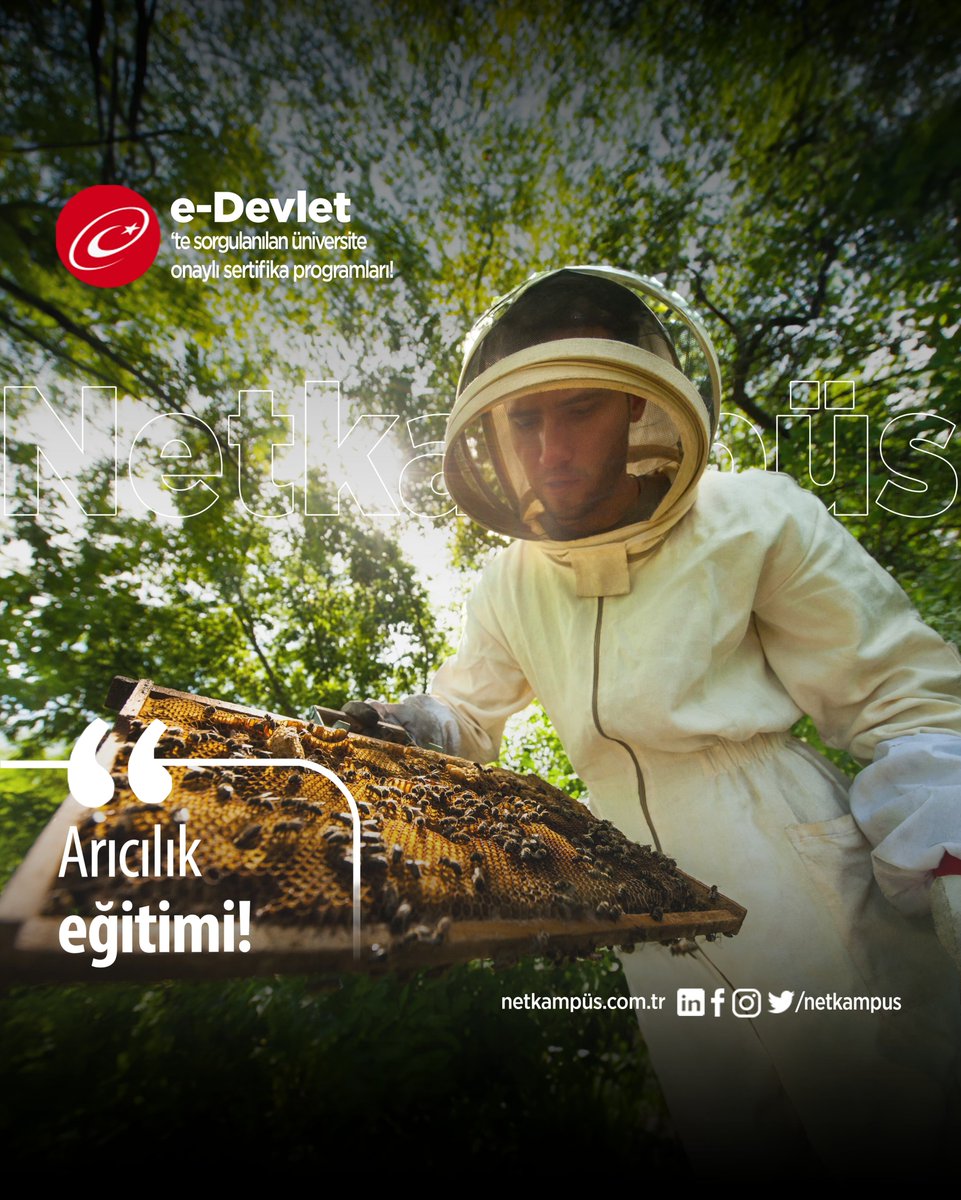 netkampus's tweet photo. Arılarla Doğanın İnceliklerini Öğren, Geleceğe Işık Tut!
#Netkampüs #UzaktanEğitim #OnlineEğitim https://t.co/3awup0Tdcg