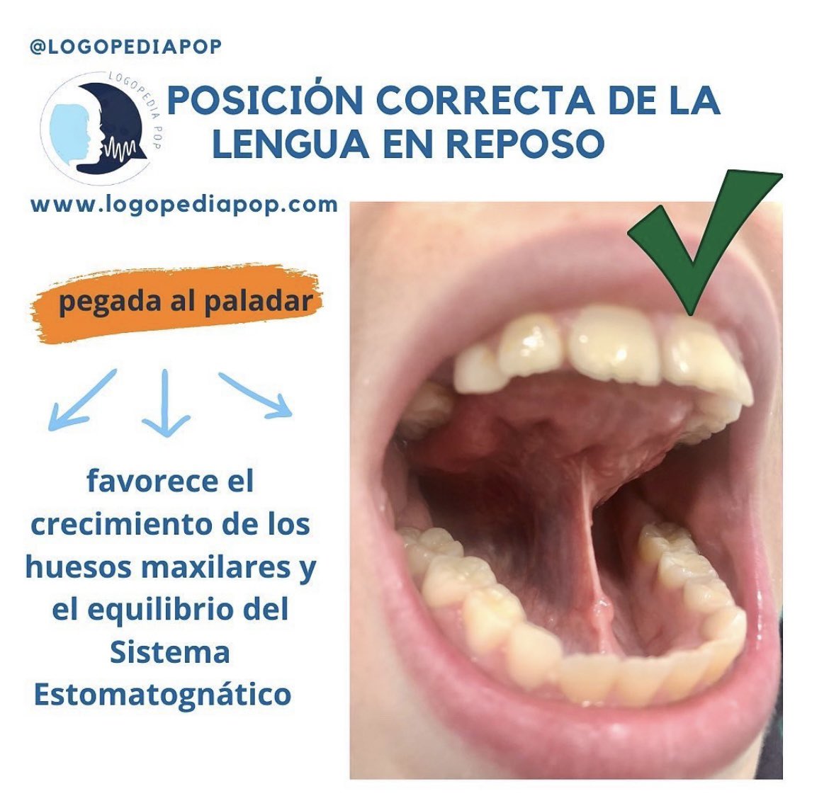 La posición de la lengua en reposo es clave para una buena salud oral. ¡Recuerda mantenerla en contacto con el paladar! 👅🤗 #SaludOral #HábitosSaludables #uv_rtl23