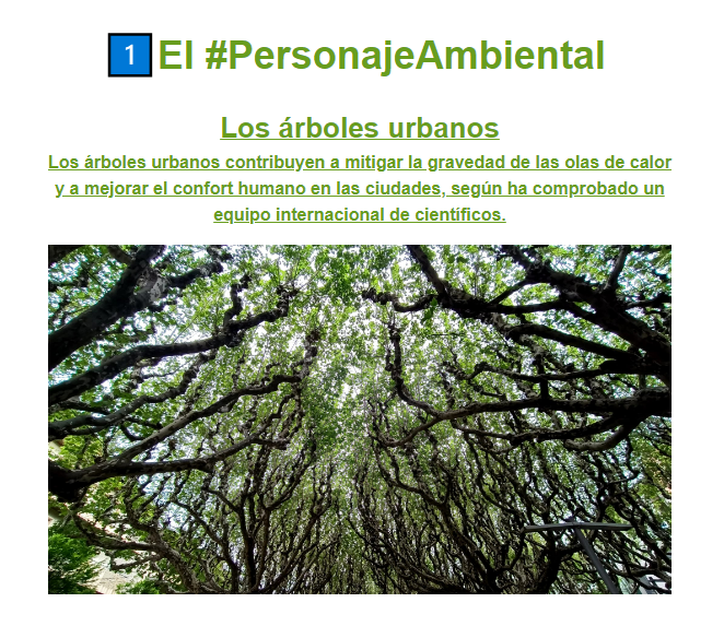EFEverde's tweet photo. El arbolado urbano es el Personaje Ambiental de la semana en Planeta Sostenible https://t.co/m3FPvGeMKk https://t.co/fqjaO0Mq2L
