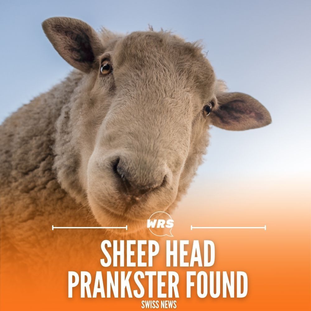 Dead sheep prankster found worldradio.ch/news/bitesize-…