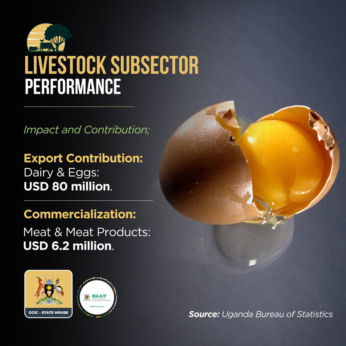 The livestock sub-sector contributes between 1% and 1.5% to Uganda’s export trade value. Notably, dairy and eggs fetch USD 80 million, while meat and meat products fetch USD 6.2 million. #OpenGovUg