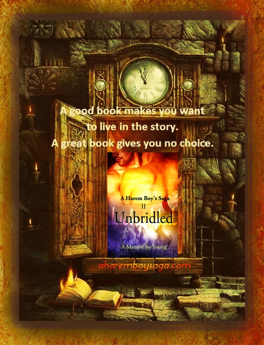 The results of your life reflect the standards you've set. UNBRIDLED myBook.to/UNBRIDLED is the sequel to an autobiography of a young man's enlightening coming-of-age secret education in a male harem known only to a few. #AuthorUproar #BookBoost