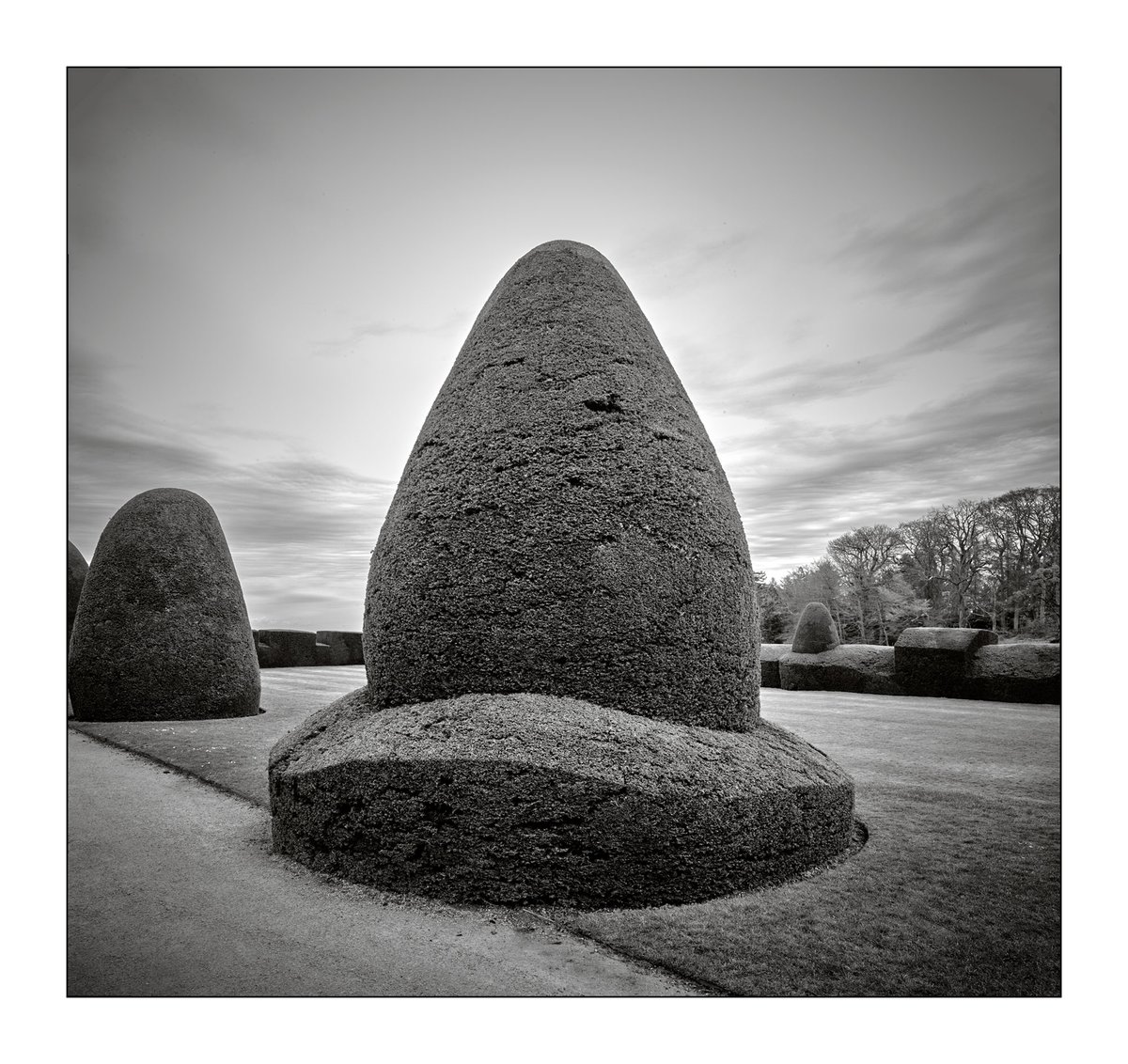 PICTURE OF THE DAY - Topiary, Chirk. #bnw #PictureOfTheDay #bnwphotography #CamboWRS #PhaseOne #CarlZeiss #blackandwhitephotography #blackandwhite #topiary @ChirkCastleNT @NTCymru_ @rosie_thomo9