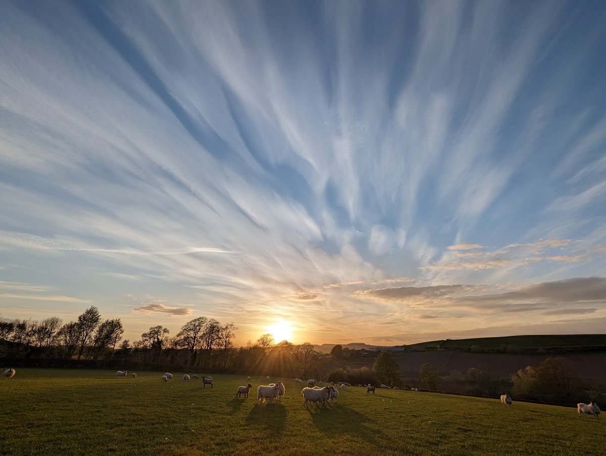 Setting sun behind the cottages last night 😍 West Cottage, sleeps 4, discount for 2, available from Saturday for a week, or short break See hendersyde.co.uk #springbreak #lastminute #holidaycottages #scottishborders #scotlandstartshere