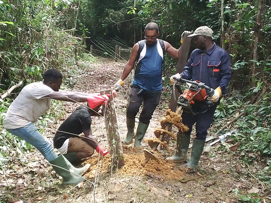 Ovan- Le @WWFGabon engagé auprès des communautés locales. Nous avons procédé à la réparation et au renforcement de la clôture électrique de la forêt communautaire de Ngokoela (Ovan, Ogooué-Ivindo) avec @Parcs_Gabon et la communauté locale. #Impact #ManWildlife #coexistence.
