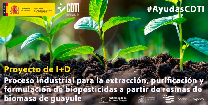 Promovemos la #innovación con #AyudasCDTI para proyectos como el de #SeducoIndustries 🔸Uso de componentes de #resina de #guayule para la formulación de #biopesticidas eficientes 👉seducoindustries.com ℹ️ Proyecto de I+D bit.ly/3nwgik8 #FEDERCDTI #sostenibilidad