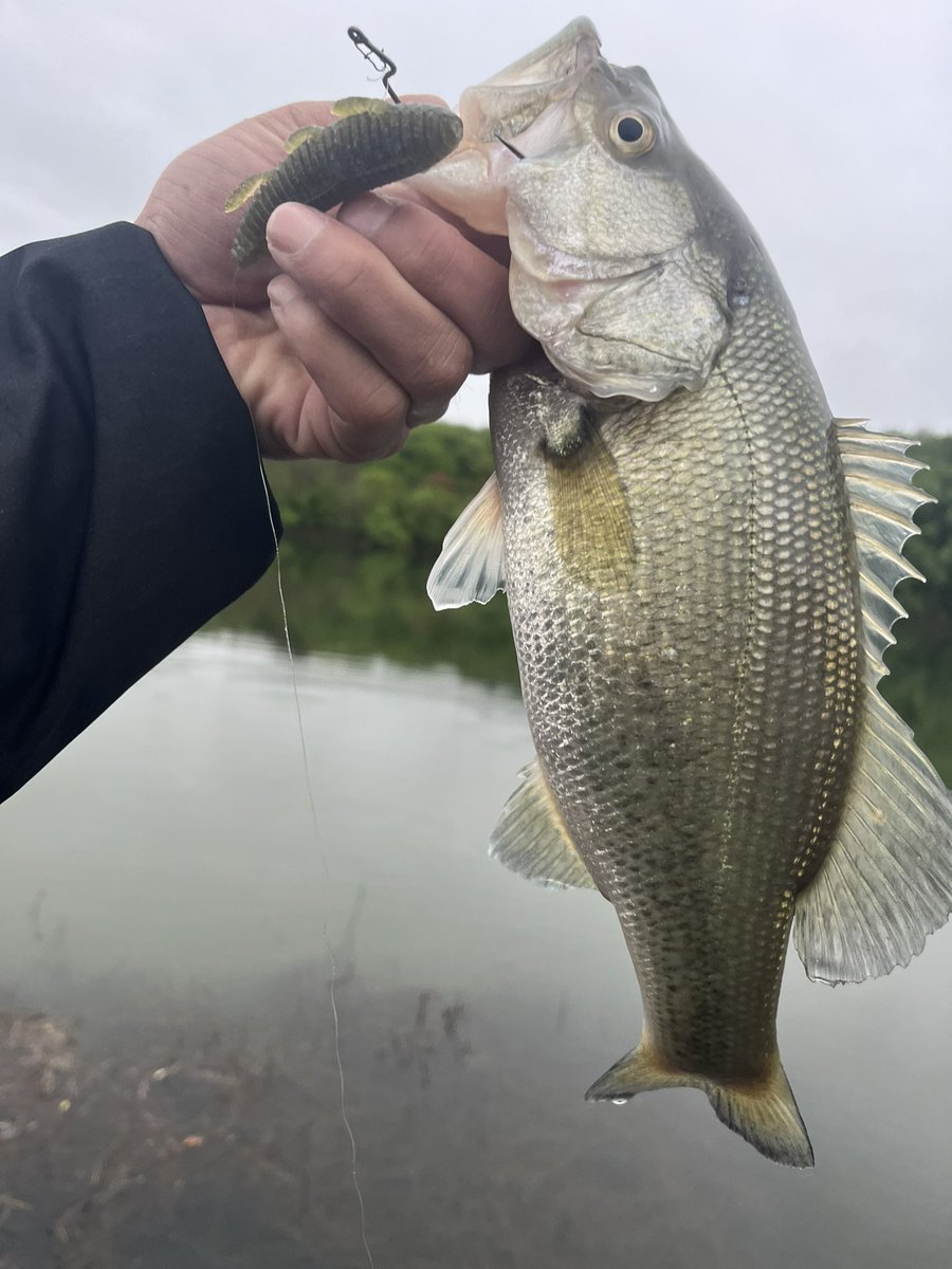 バス釣りを通じて 仲良くなったアメリカのクリプトフレンズと日本の琵琶湖で釣りに行く約束をしたよ💪🐟 こんな出会いもweb3のおかげ😆