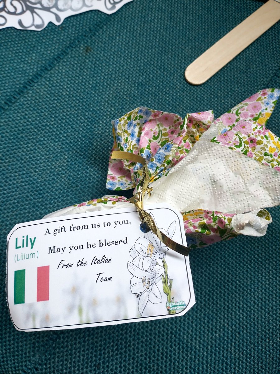 We also received a beautiful gift from the Italian MasterChef team - the national flower of Italy, a lily bulb for each of us to plant! 😊 @OLOLCatholicMAT @OLOPSPrimary #mindfulness